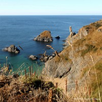 /album/mer/frida-dumont-img-0911-jpg/